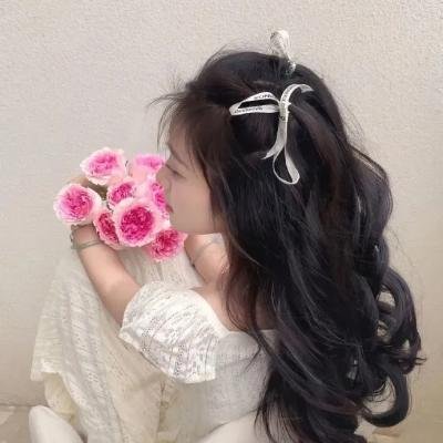 双子镇